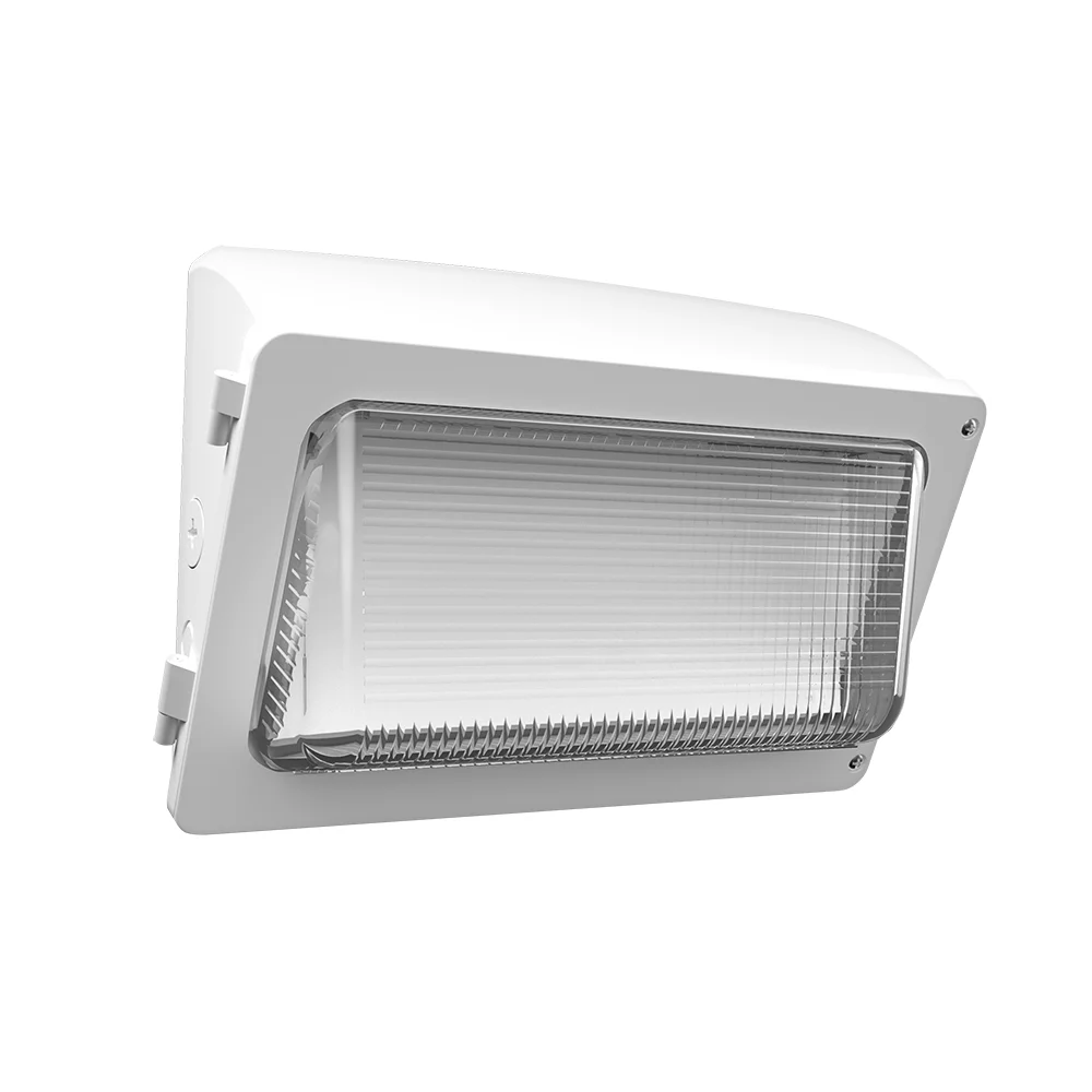 [RAB Lighting] WPX2W/480