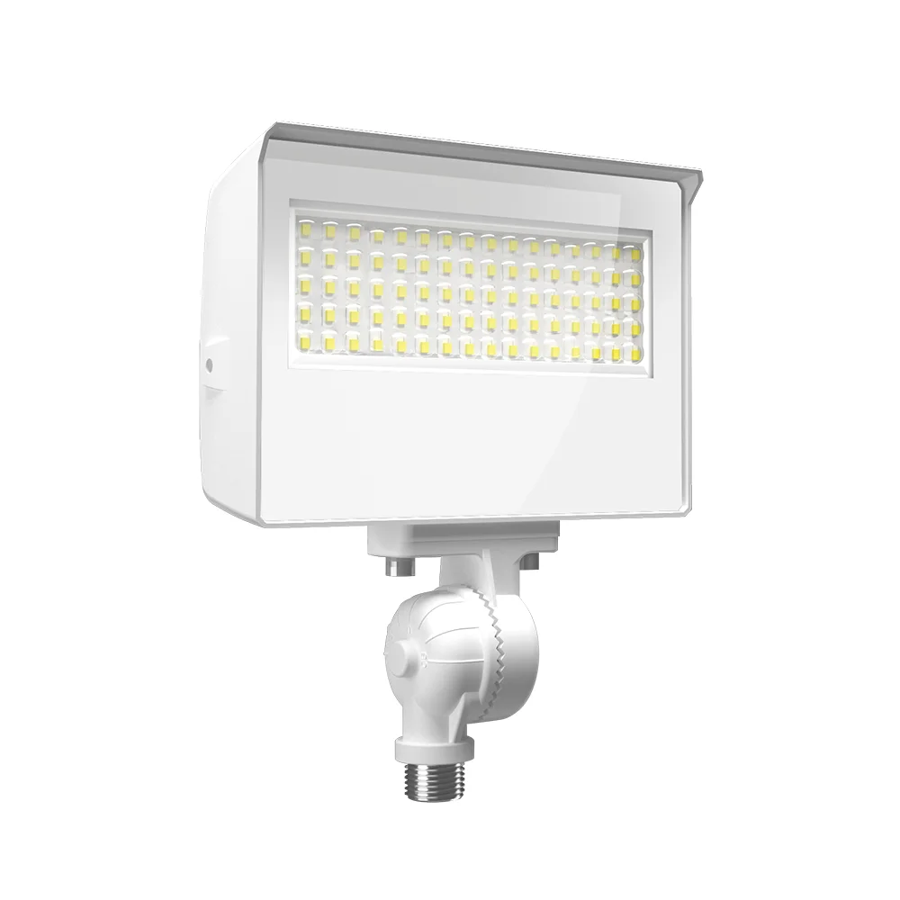 [RAB Lighting] X22-35W