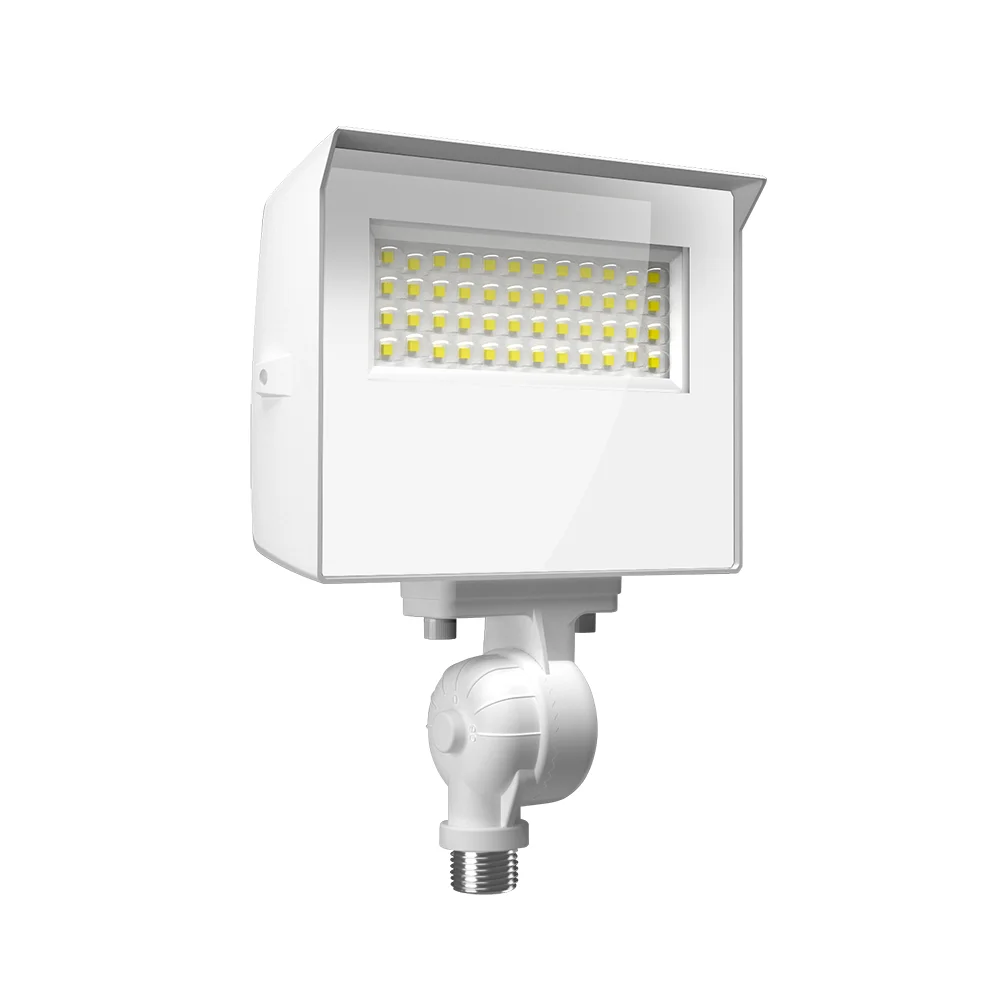 [RAB Lighting] X22-20W