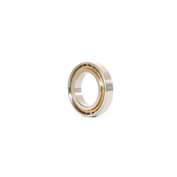 [Consolidated Bearings] N-1021-KMS P/5