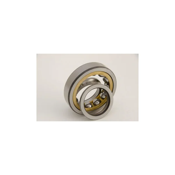 [Consolidated Bearings] QJ-303