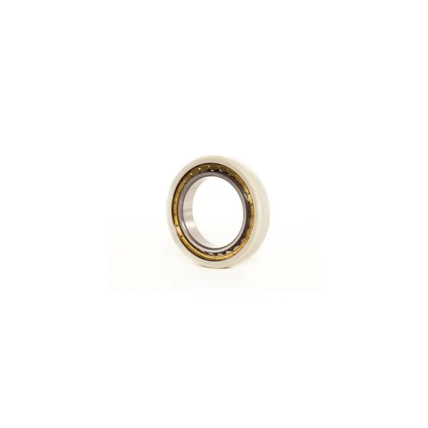 [Consolidated Bearings] INS NU-1012 M C/4