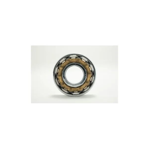 [Consolidated Bearings] L-20