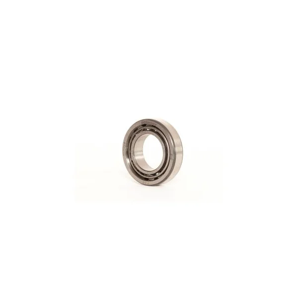 [Consolidated Bearings] NJ-2017E