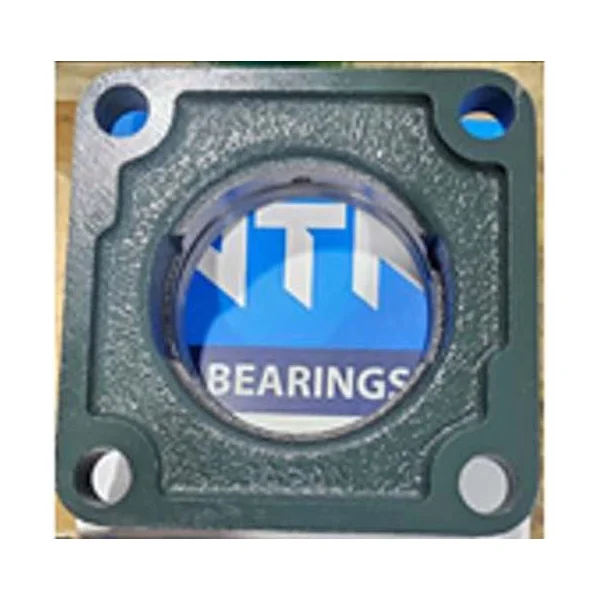 [NTN Bearing] F207N1D1