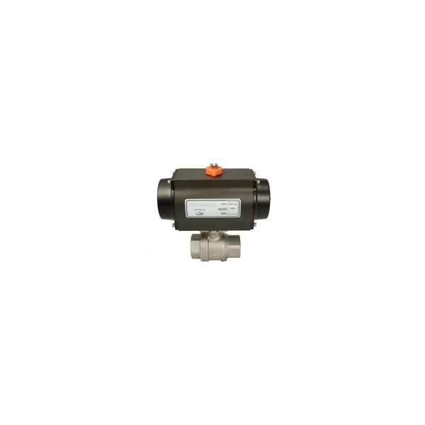 [Dixon Sanitary Fittings] BV2HG-10011-BCC