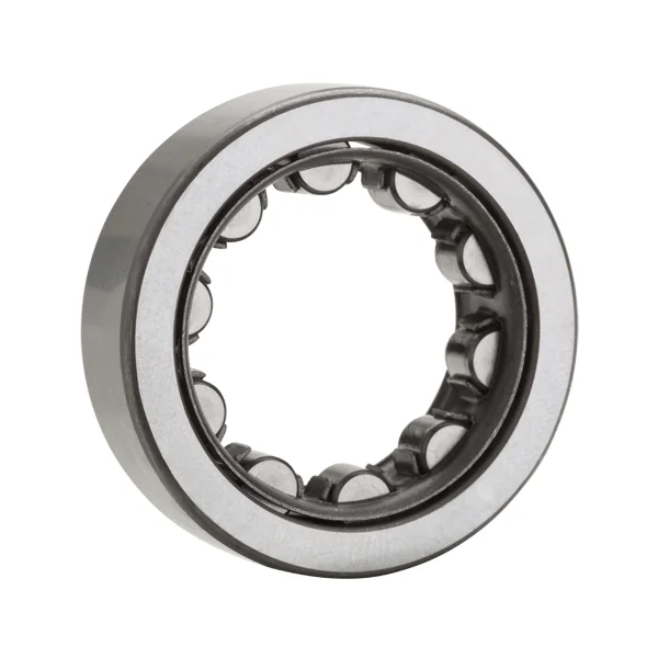 [NTN Bearing] E-NU319EV2